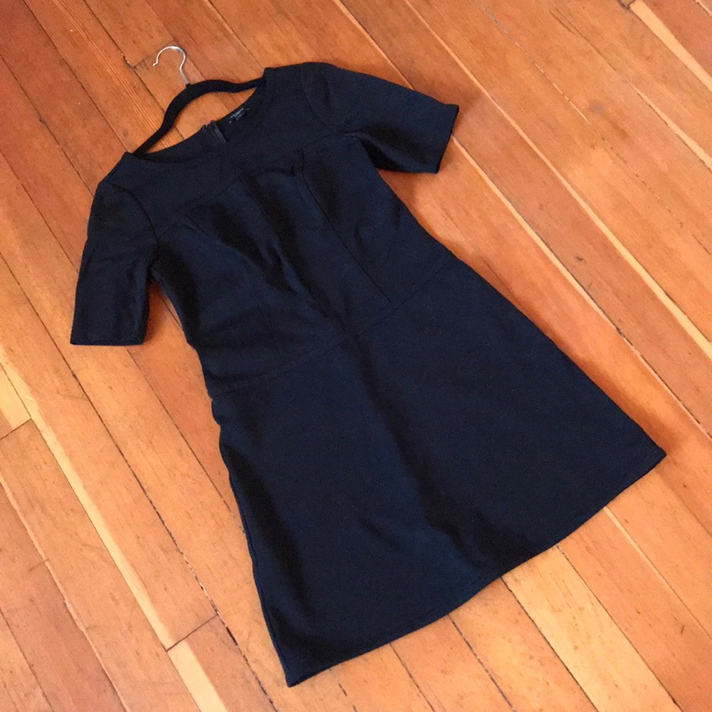 Ann Taylor Dress Structured Drop Waist US 4